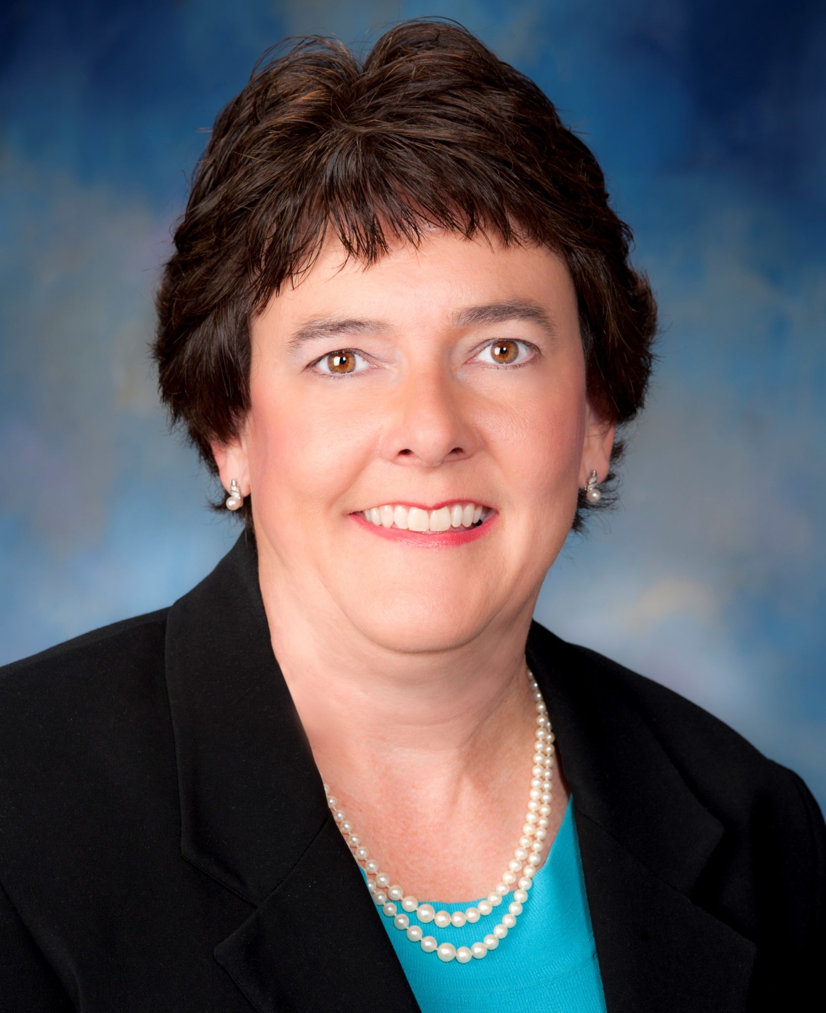 Elect Arvind Venkat, MD to the State House